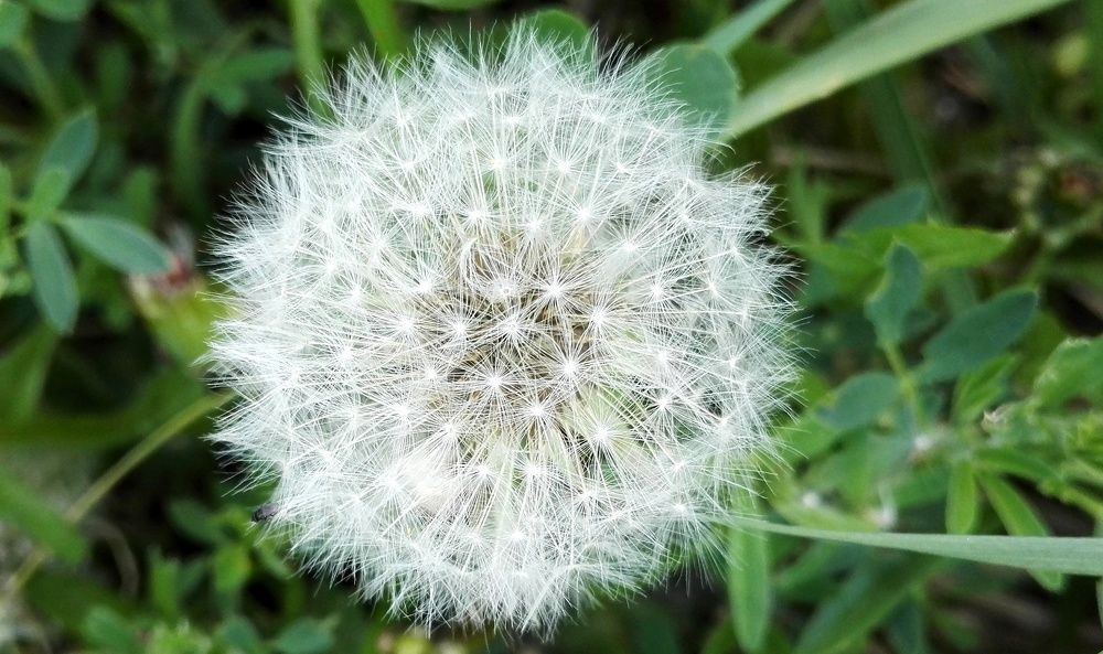 Photograph by Тамара Багровская