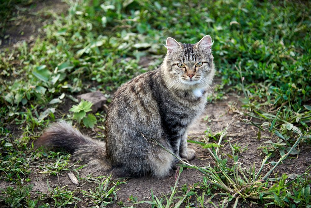 Photograph by Евгения Гловацкая