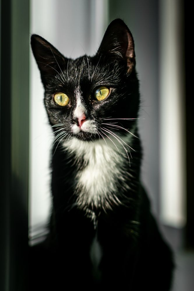 Photograph by Екатерина Абатурова