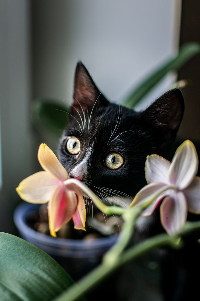 Photograph by Екатерина Абатурова