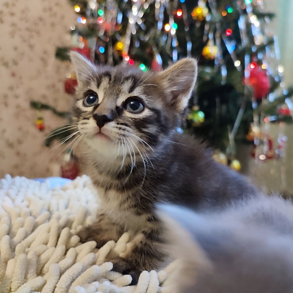 Photograph by DARIA DEMINA