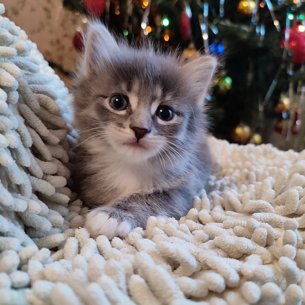 Photograph by DARIA DEMINA