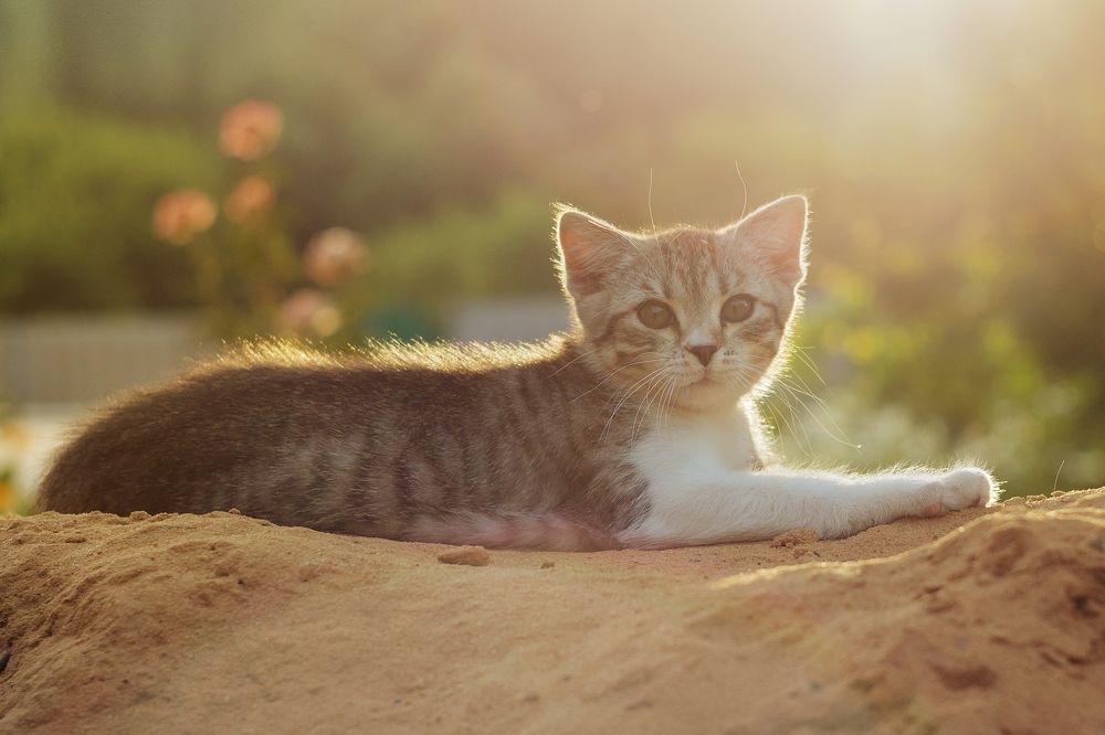 Photograph by Евгения Тимофеева