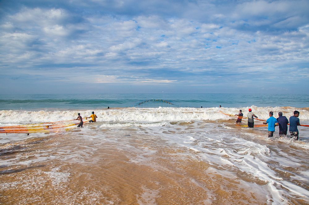 Фотография автора Laddu Sasindu Pramuditha De Silva