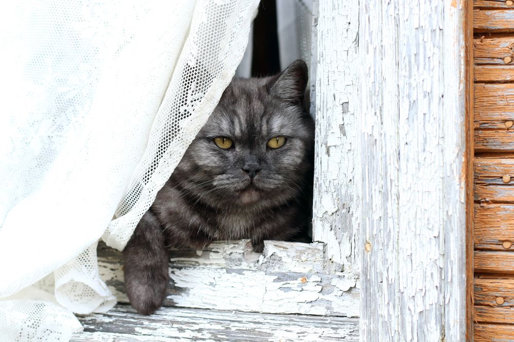 Photograph by Наталия Тарасова