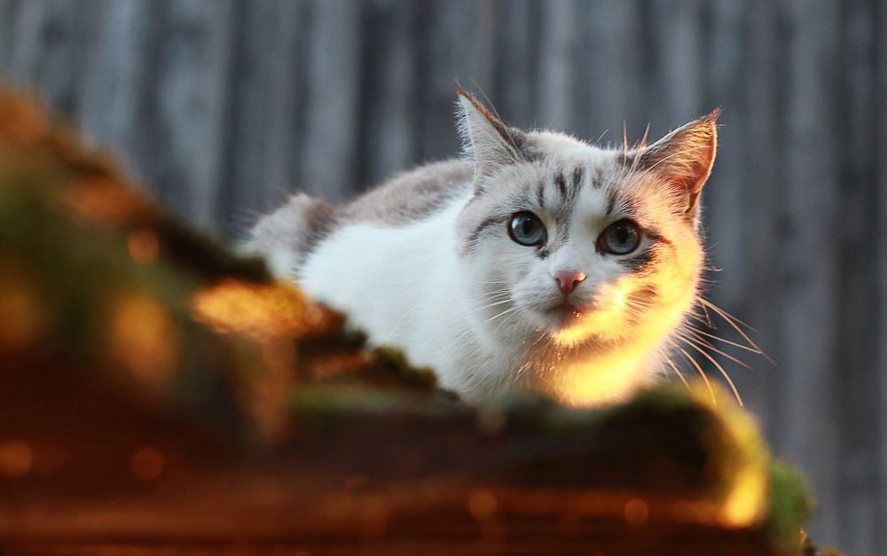 Photograph by Наталия Тарасова