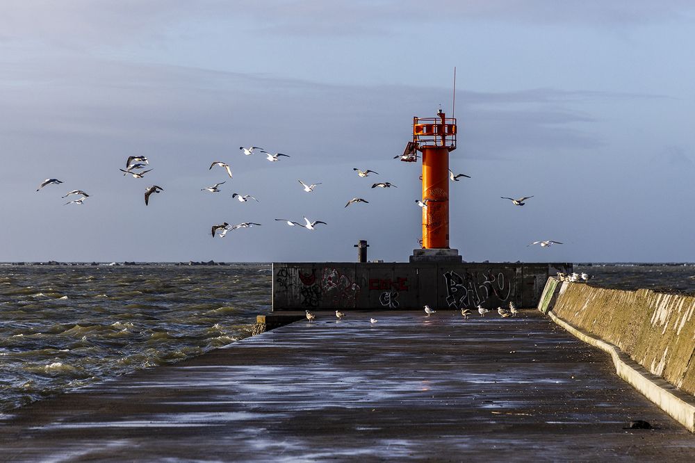 Photograph by Normunds Kaprano