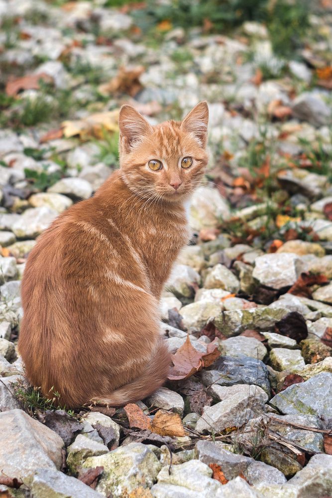 Photograph by Иван Белоусов