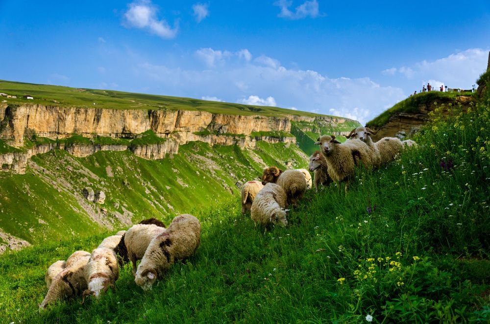 Photograph by Ольга Мукина