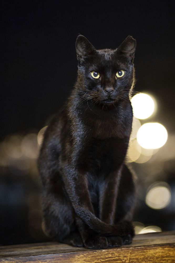 Photograph by ирина лебедева