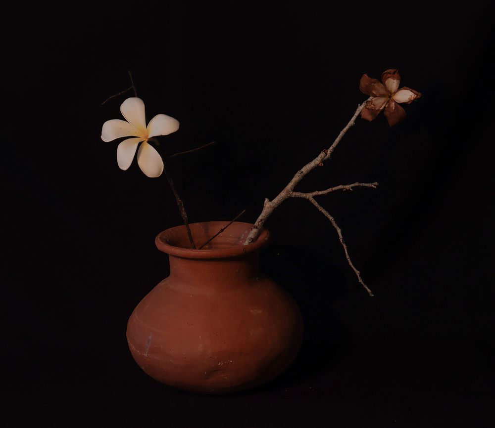 Фотография автора Laddu Sasindu Pramuditha De Silva