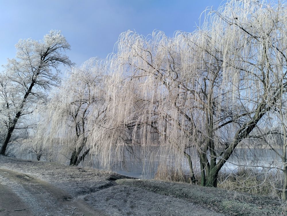 Photograph by Редько Александр