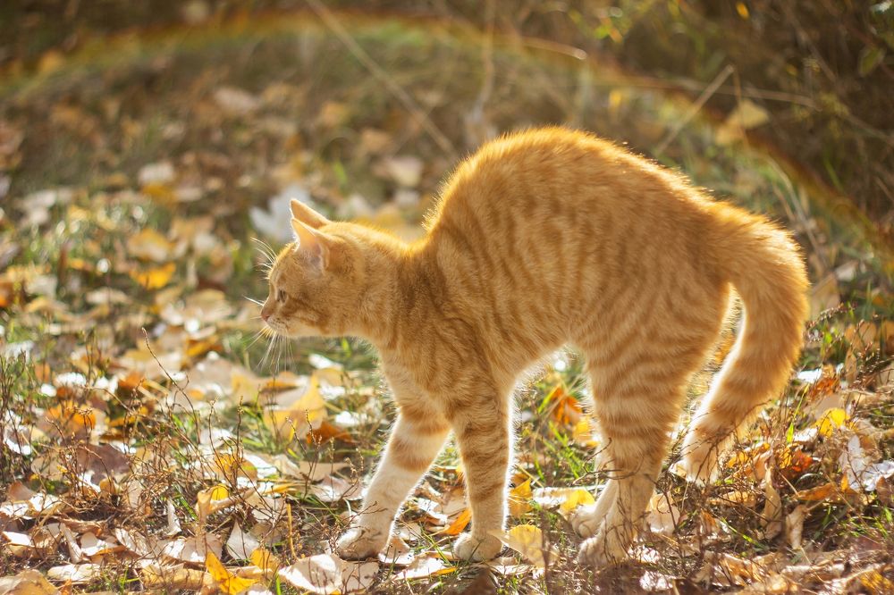 Photograph by Александр Канцур