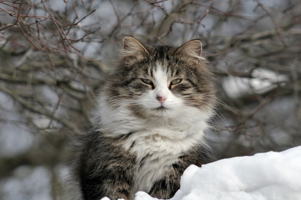 Photograph by Станислав Староверов