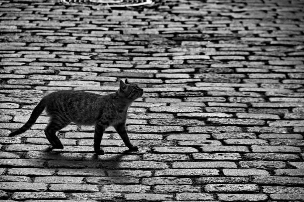 Photograph by Станислав Староверов