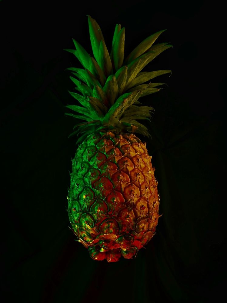 Photograph by Sahil Mhapankar