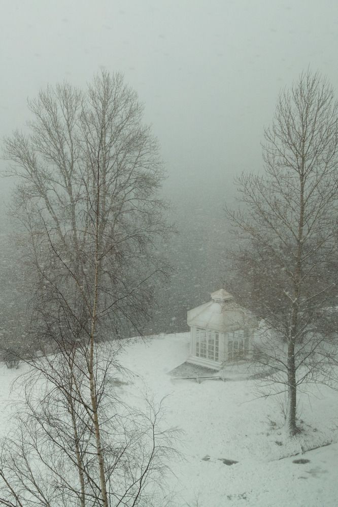 Photograph by ирина лебедева