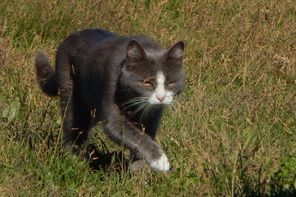 Photograph by Тимофей Петров