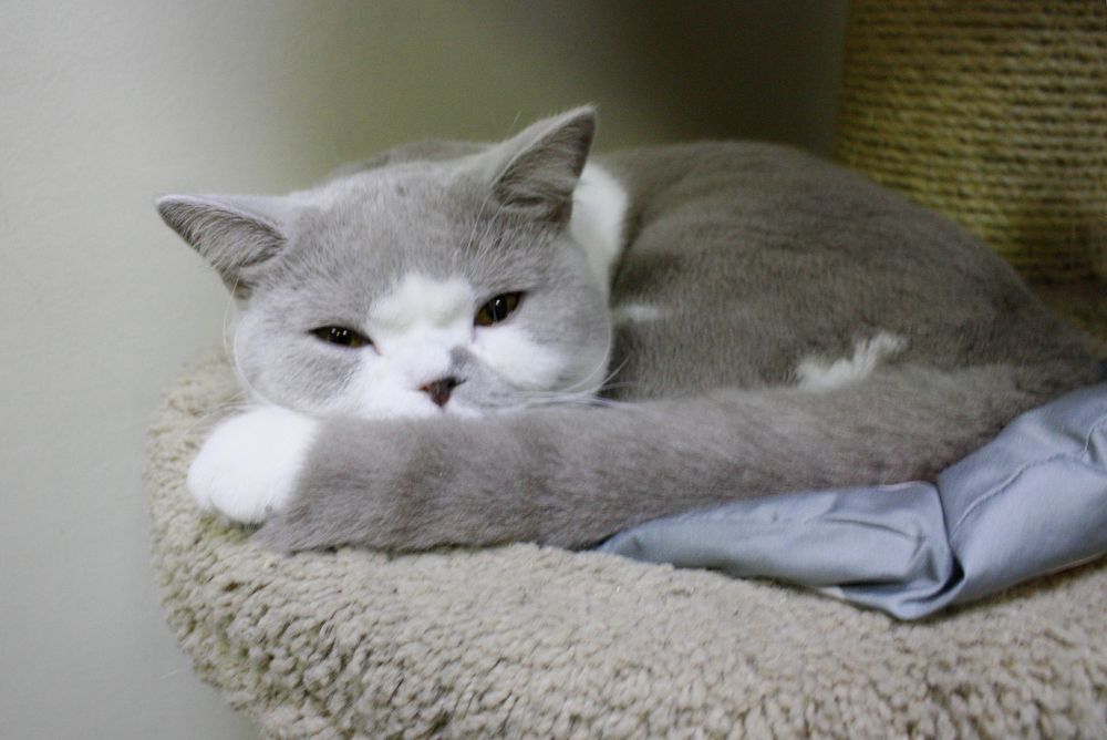 Photograph by Мария Самоловова