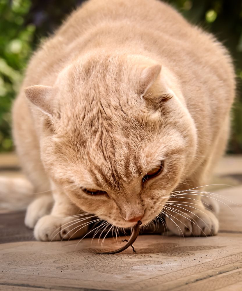 Photograph by Оксана Сафина