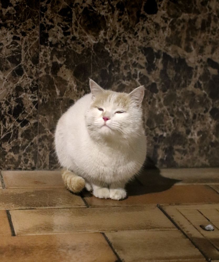 Photograph by Оксана Сафина