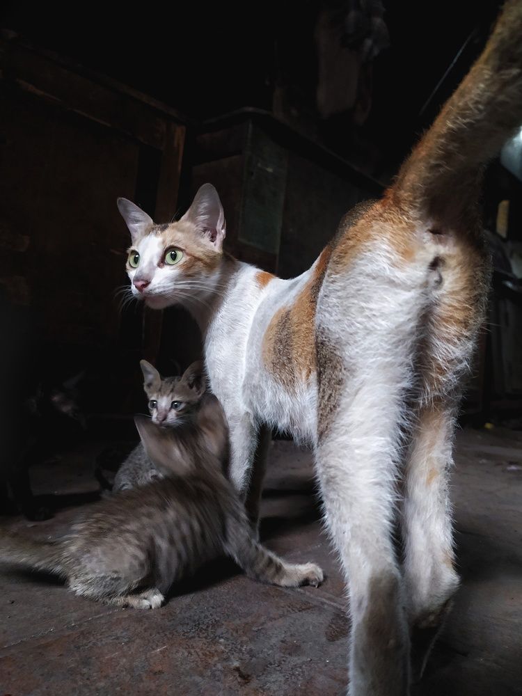 Photograph by Sai Bagal