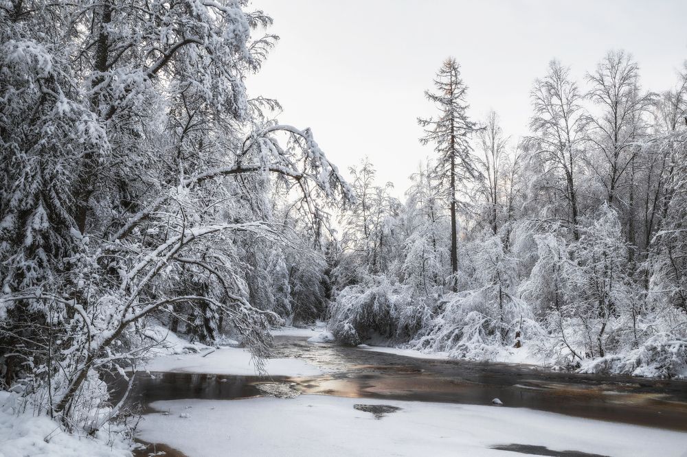 Зима на реке Рощинке
