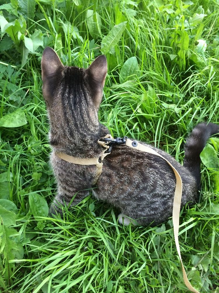 Photograph by Олеся Семёнова