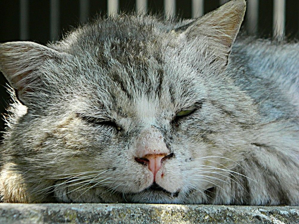 Photograph by Сергей Рапопорт