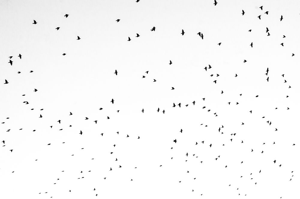 Photograph by Дмитрий Куликов