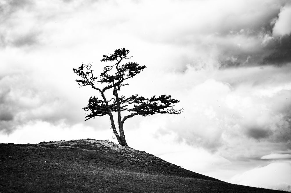 Photograph by Дмитрий Куликов