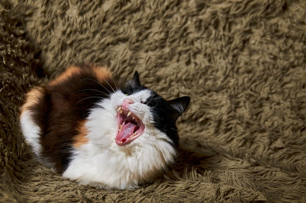 Photograph by Юрий Новиков