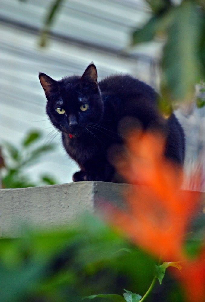 Photograph by Andre Nunes