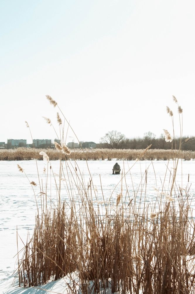 Photograph by Sophie Zhemchuzhnikova