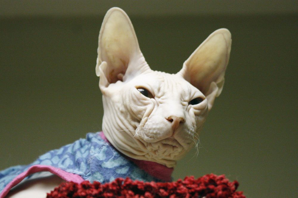 Photograph by Мария Самоловова