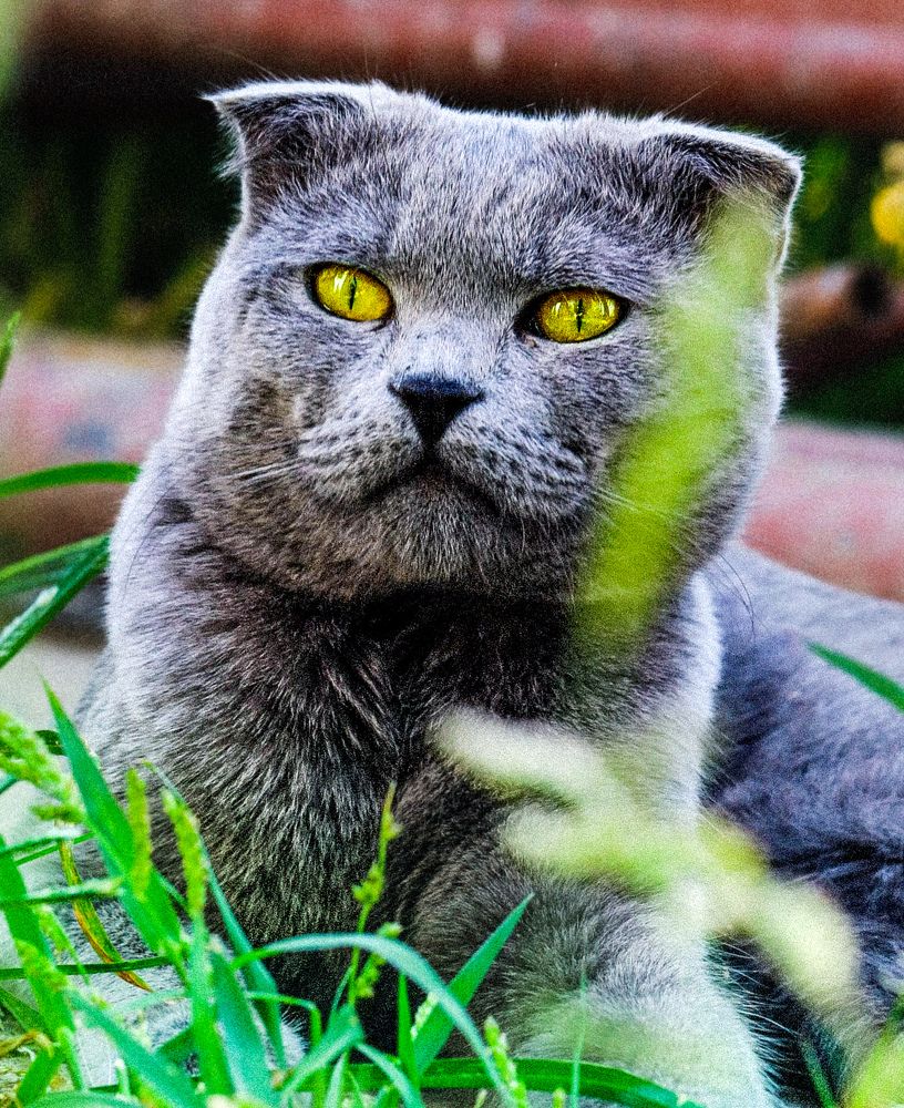 Photograph by Оксана Сафина