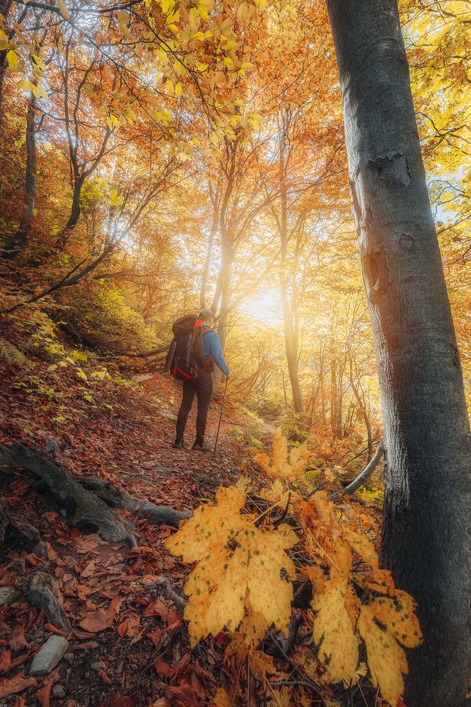 Photograph by Сергей Шабанов