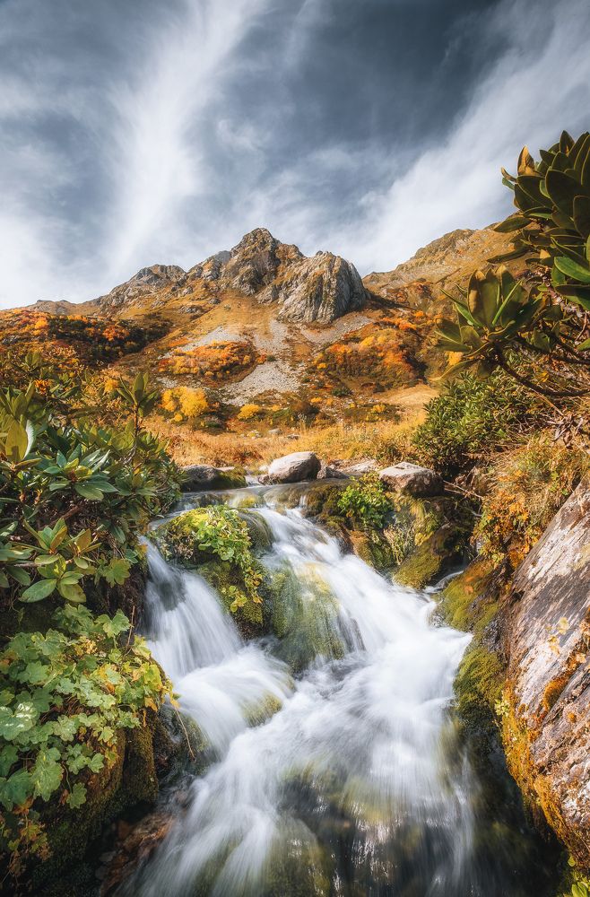 Photograph by Сергей Шабанов