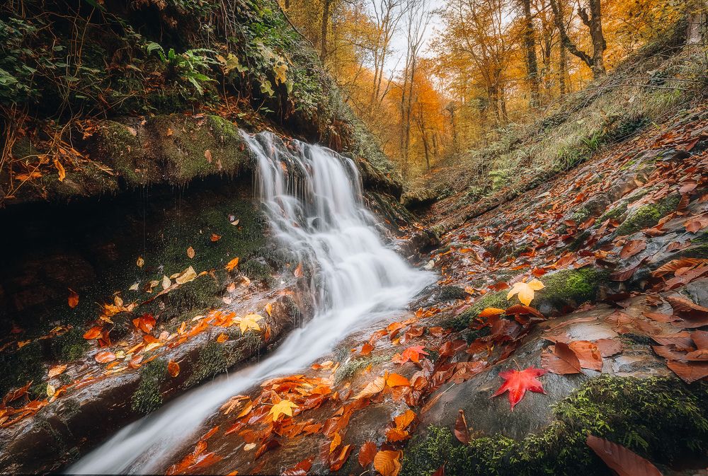 Photograph by Сергей Шабанов