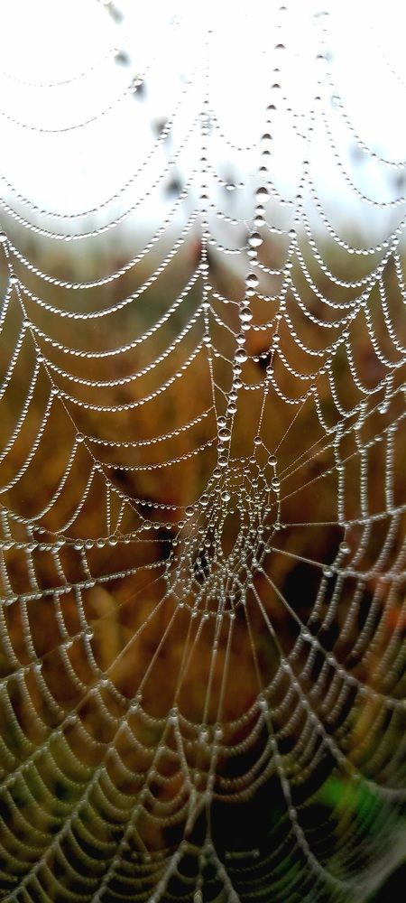 Photograph by Дмитрий Шумский