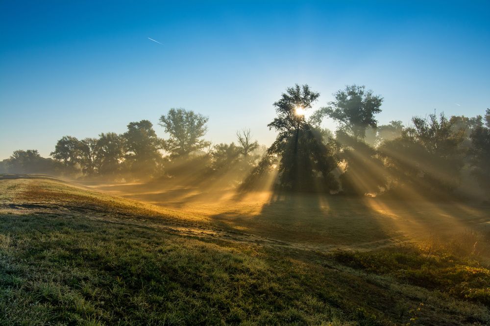 Photograph by Maja Tomić