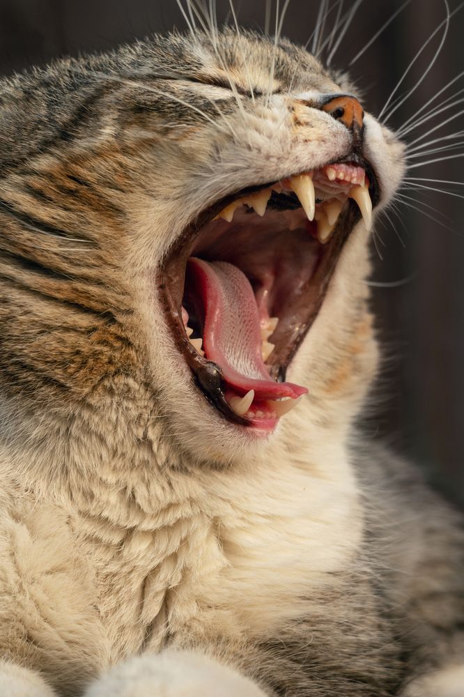 Photograph by Евгения Тимофеева