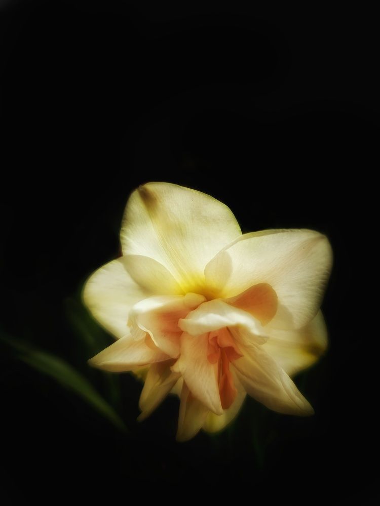 Photograph by Екатерина Цыбулькина