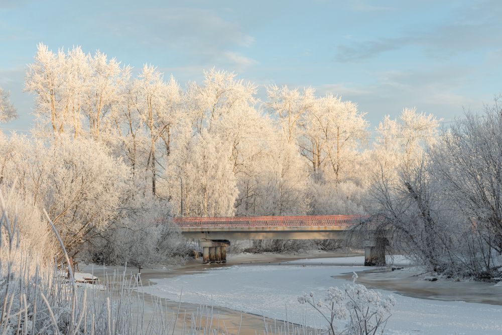 В снежном убранстве
