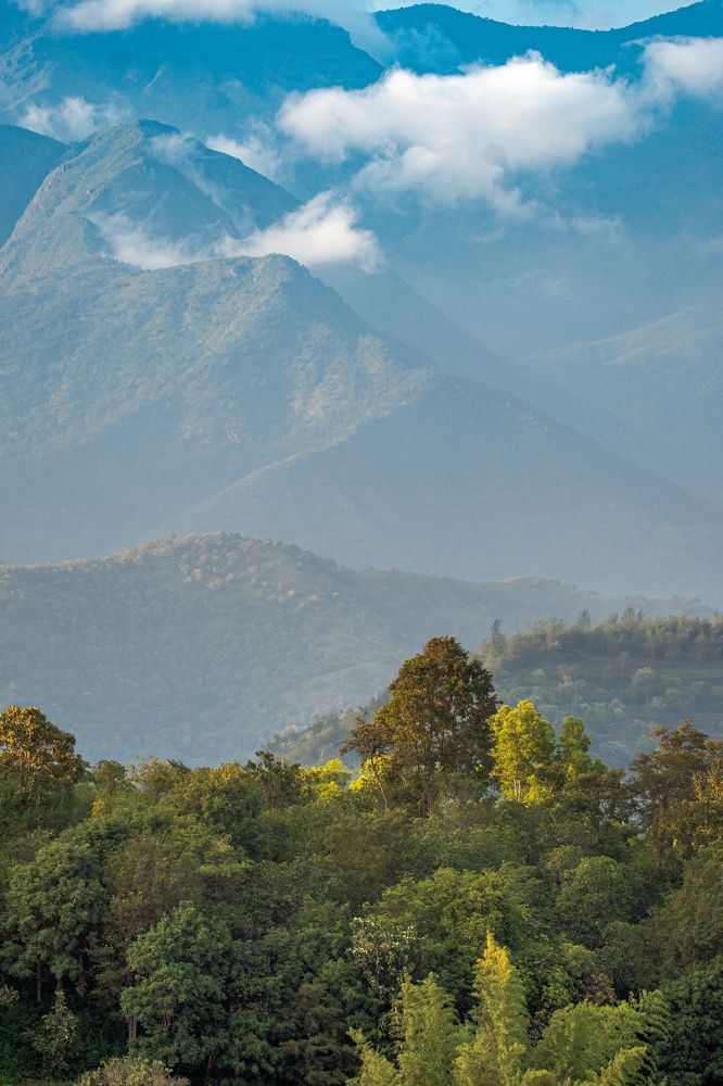 Фотография автора Sajeev Krishnan