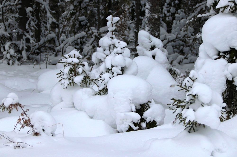 Photograph by Нина Чугунова