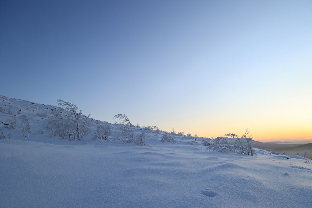 Photograph by Наталья Ветренко