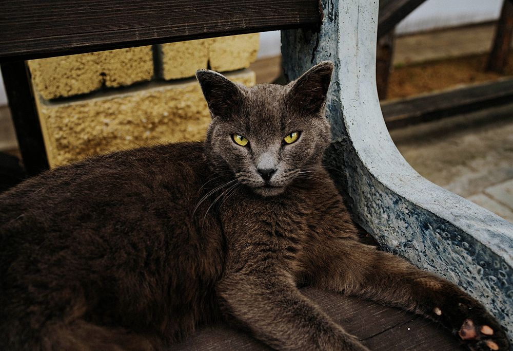 Photograph by Дзюба Нелли