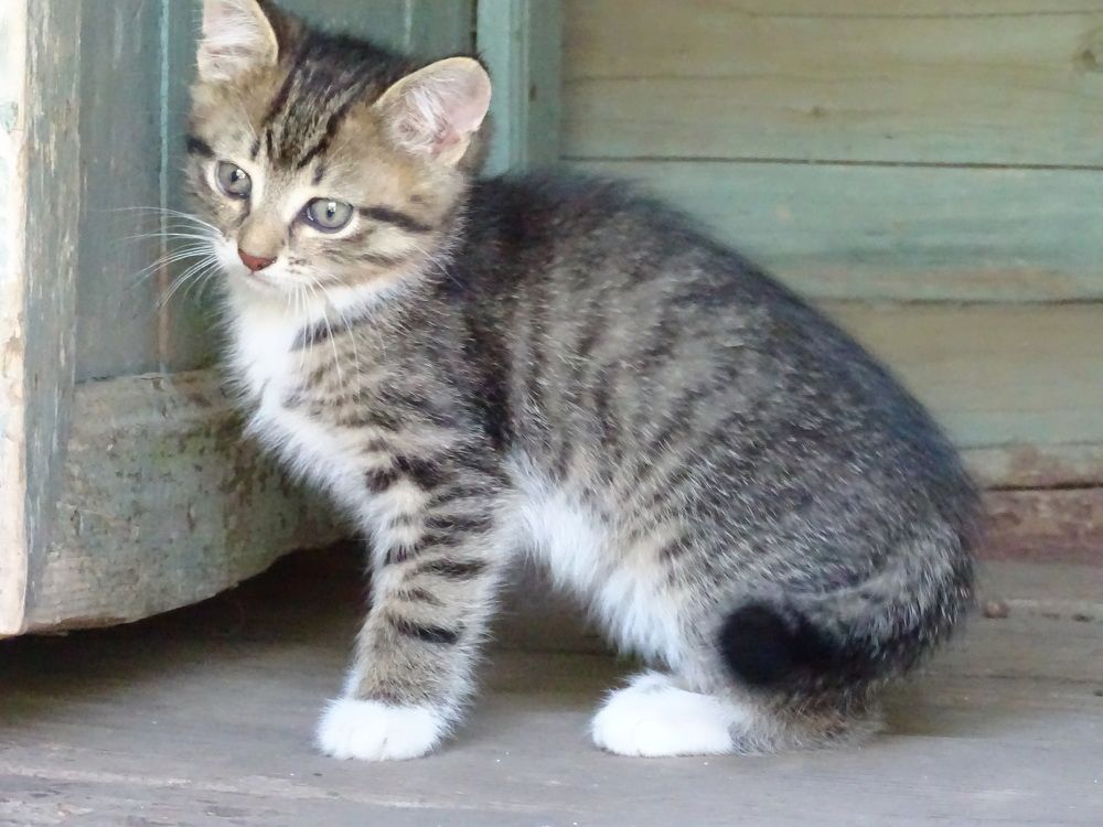 Photograph by Марина Мишина