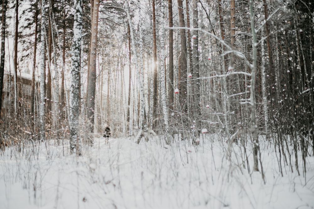 Photograph by Марат Гизатуллин